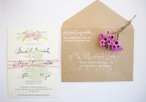 Alyssa Campanella The A List blog Miss USA 2011 bridal shower cats