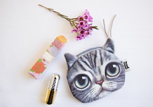 I tookAlyssa Campanella The A List blog Miss USA 2011 bridal shower cats