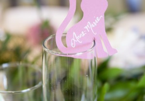 Alyssa Campanella The A List blog Miss USA 2011 bridal shower cats