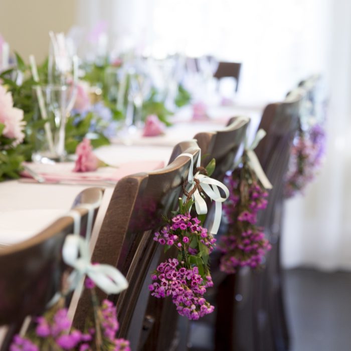 Alyssa Campanella The A List blog Miss USA 2011 bridal shower cats