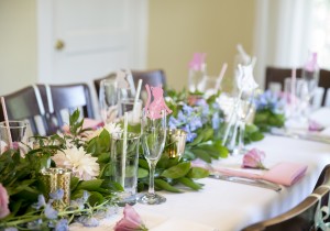 Alyssa Campanella The A List blog Miss USA 2011 bridal shower cats