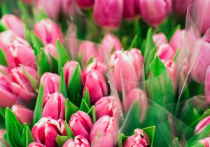 Alyssa Campanella The A List Los Angeles Flower Market