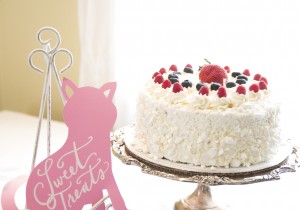 Alyssa Campanella The A List blog Miss USA 2011 bridal shower cats