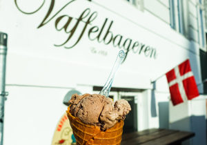 Miss USA 2011 Alyssa Campanella of The A List blog visits Vaffelbageren in Copenhagen
