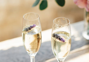 Miss USA 2011 Alyssa Campanella of The A List blog visits her wedding venue Sunstone Winery Villa with Cake & Punch wedding planner Christina Schneider