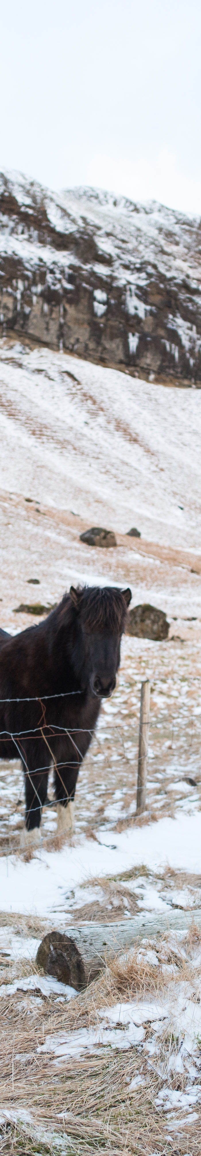 Miss USA 2011 Alyssa Campanella of The A List blog visits Kirkjubæjarklaustur in Iceland