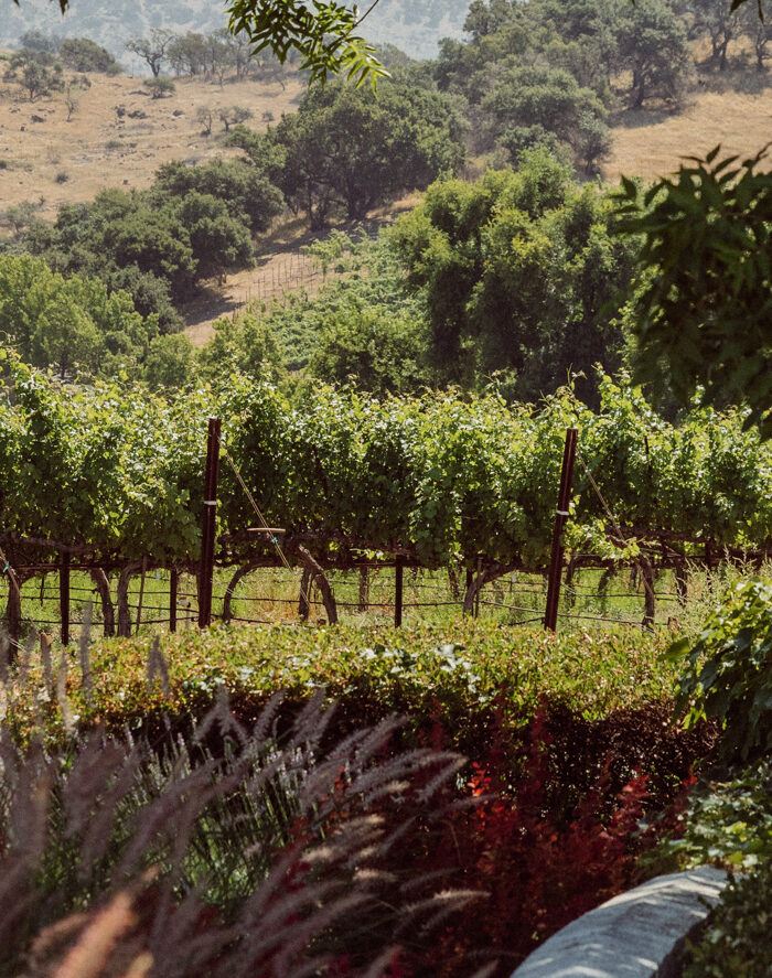 Miss USA 2011 Alyssa Campanella of The A List blog shares her travel guide to Napa Valley, California