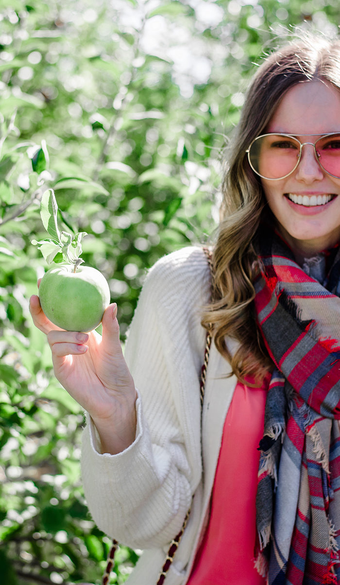 Alyssa Campanella of The A List blog goes apple picking in New Jersey with her sister