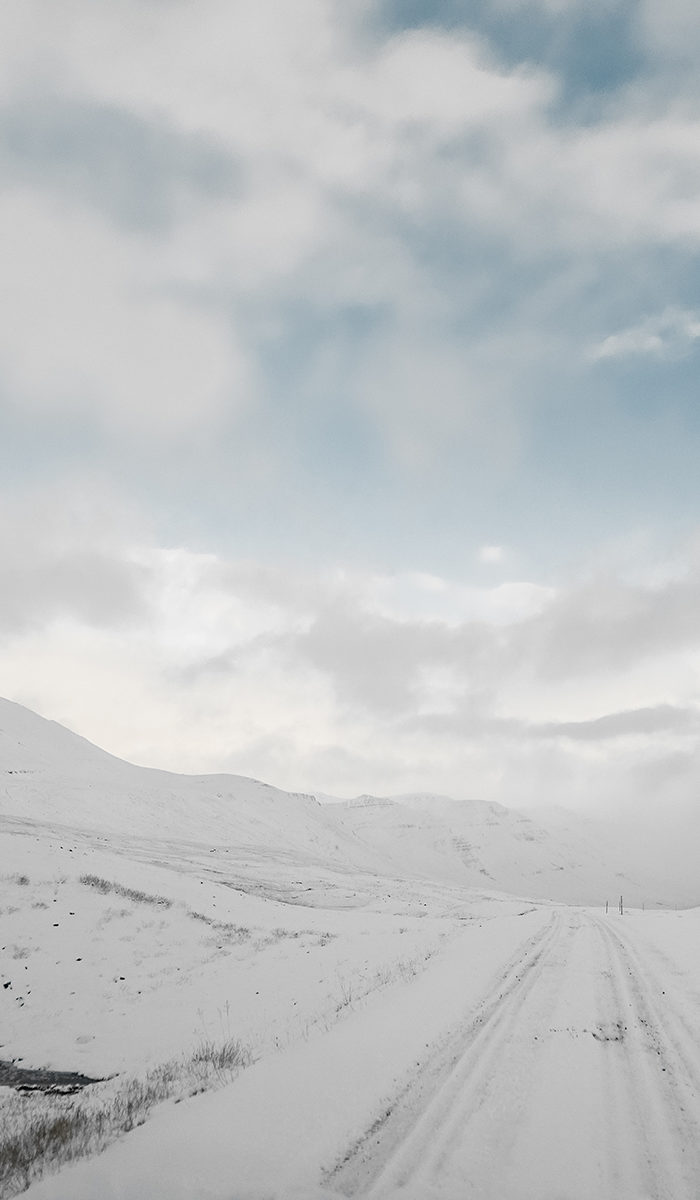 Alyssa Campanella of The A List blog visits Deplar Farm in northern Iceland