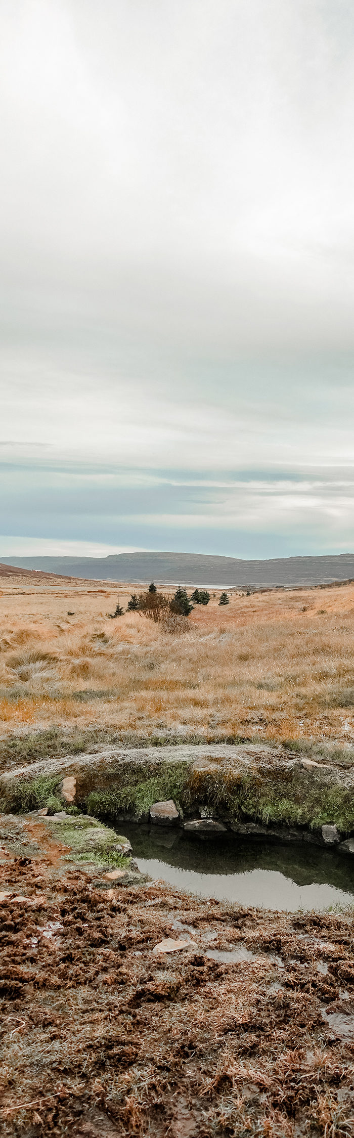 Alyssa Campanella visits Heydalur Guesthouse in Westfjords, Iceland
