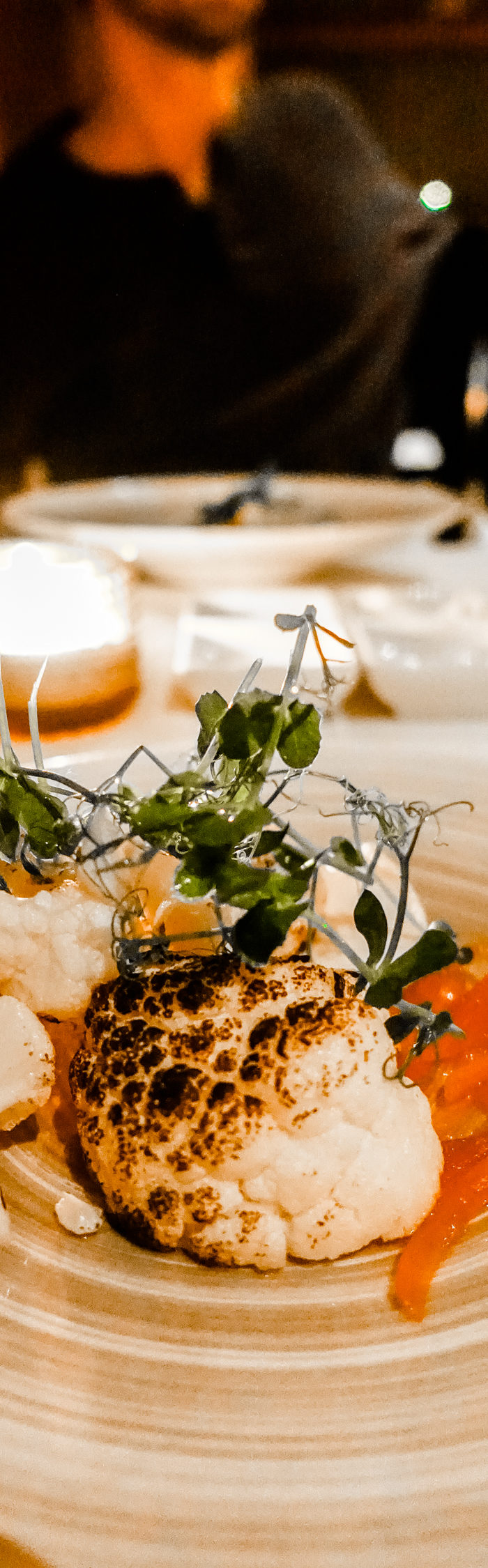 Alyssa Campanella of The A List blog visits Hotel Rangá in South Iceland