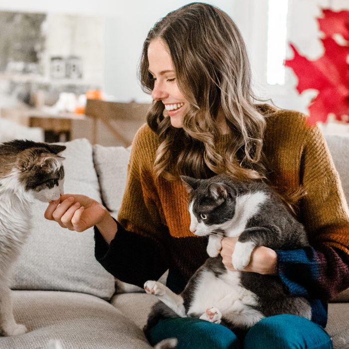 Alyssa Campanella of The A List shares her holiday gift guide for crazy cat lady friends and family with her cats Renly and Daenerys