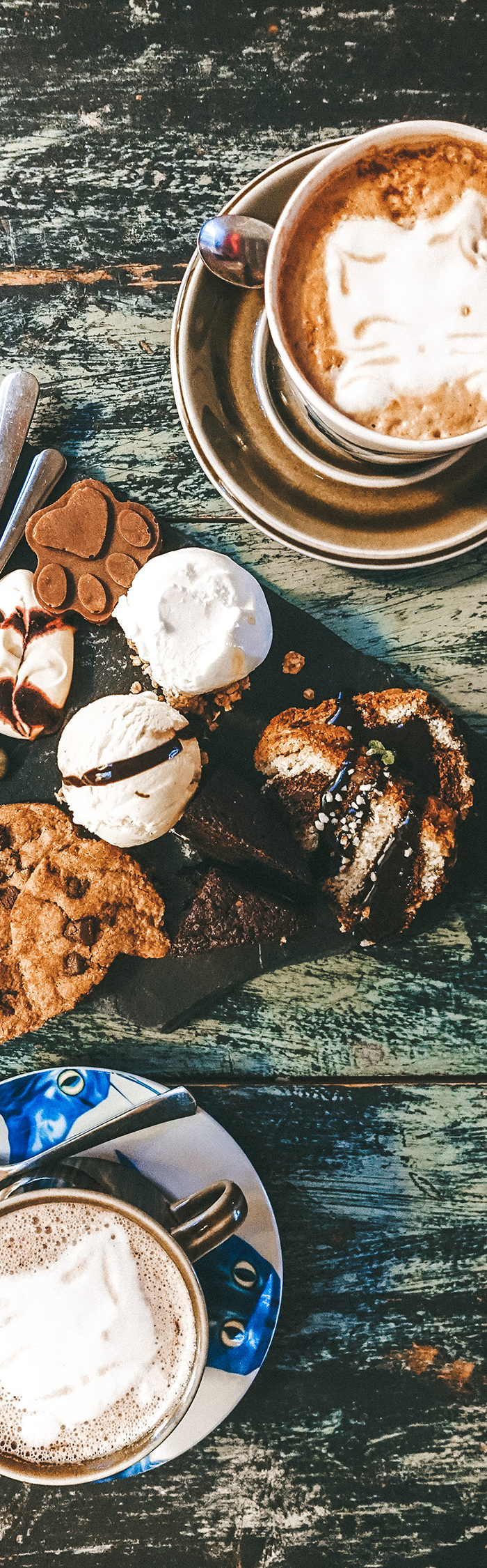Alyssa Campanella of The A List blog shares her Helsinki City Guide and visits Helkatti Cat Cafe