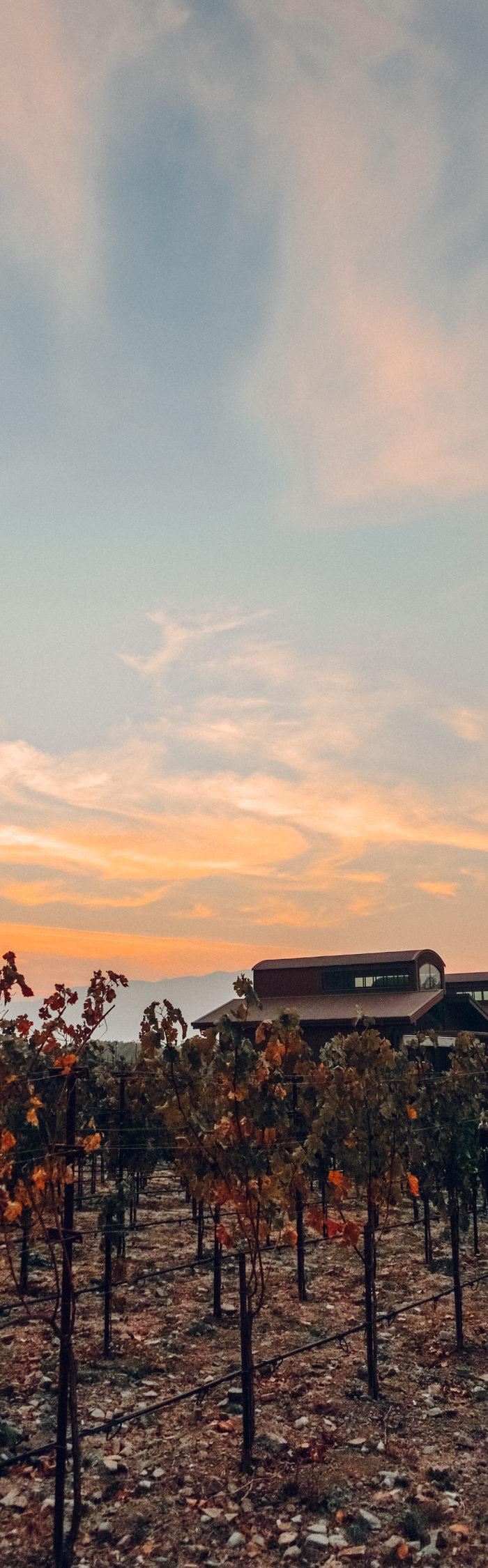 Alyssa Campanella of The A List blog visits B Cellars for Cabernet season 2018