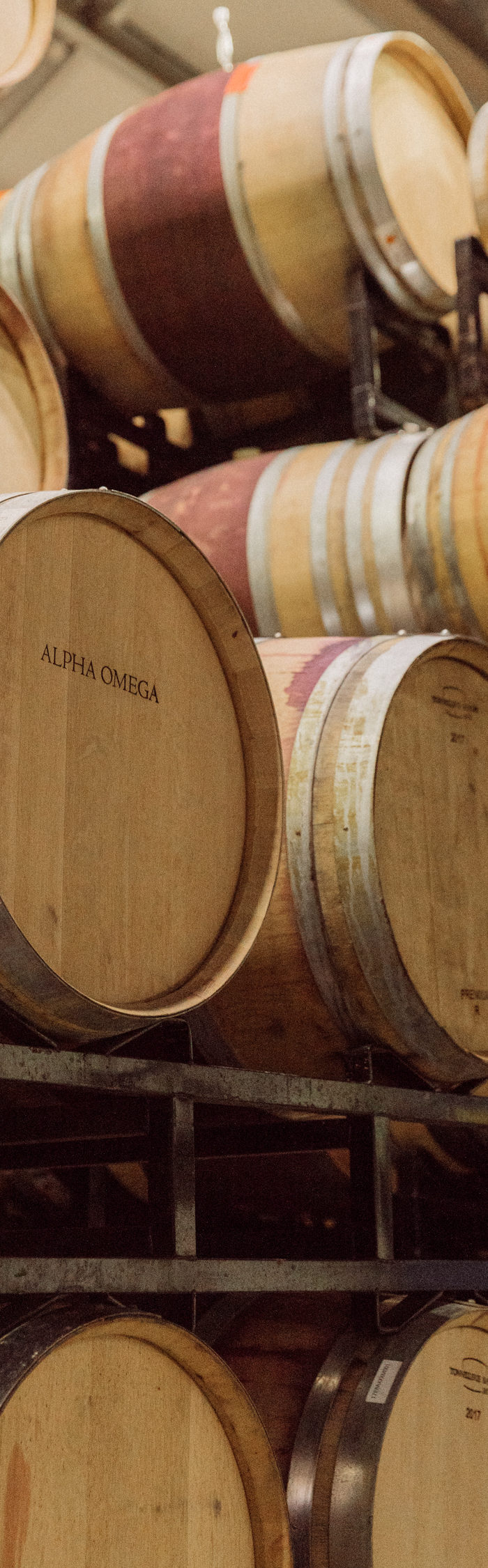 Alyssa Campanella of The A List blog enjoys a wine and design visit with Serena & Lily and Visit Napa Valley