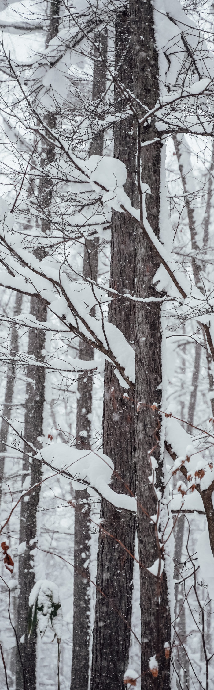 Alyssa Campanella of The A List blog visits Niseko, Japan