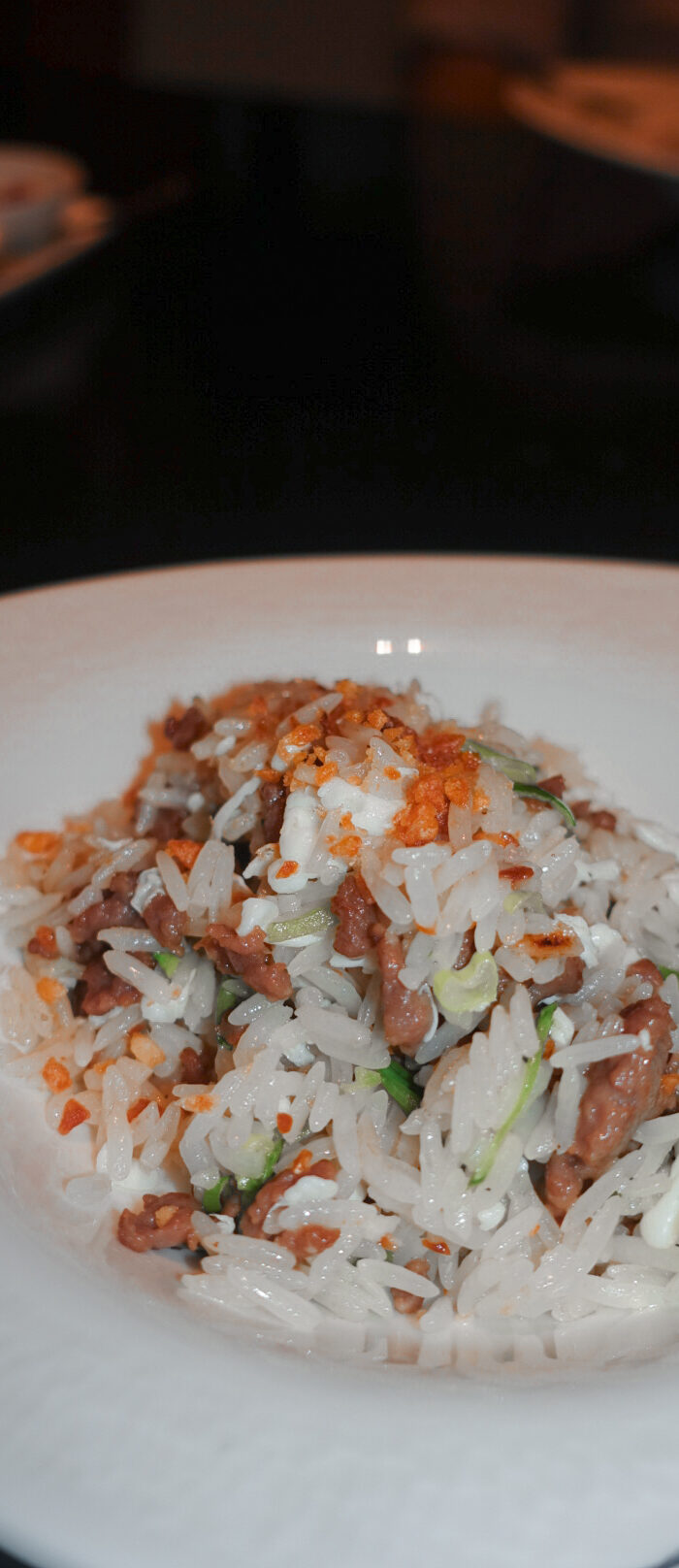 Miss USA 2011 Alyssa Campanella of The A List blog visits Mandarin Oriental Taipei for the holiday season