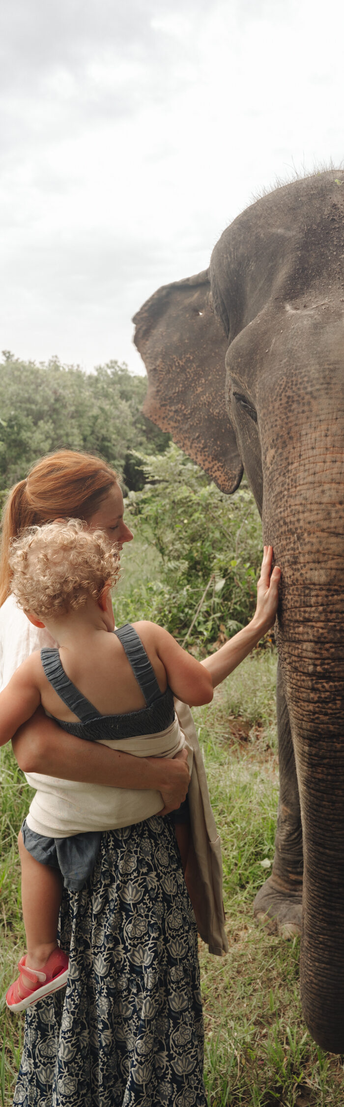 Miss USA 2011 Alyssa Campanella of The A List blog visits Kulen Elephant Forest outside of Siem Reap, Cambodia