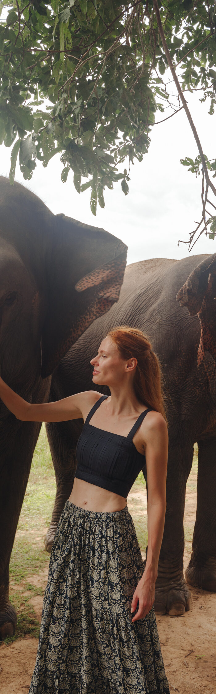 Miss USA 2011 Alyssa Campanella of The A List blog visits Kulen Elephant Forest outside of Siem Reap, Cambodia