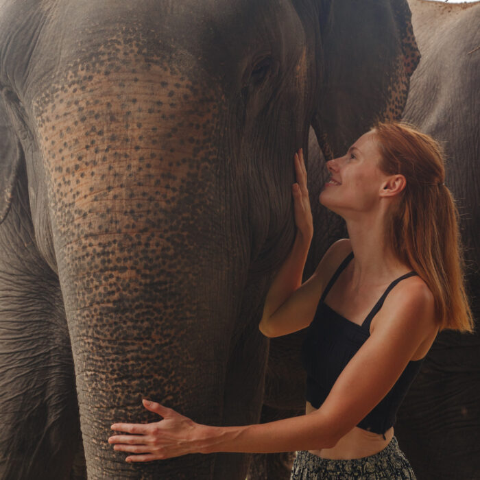 Miss USA 2011 Alyssa Campanella of The A List blog visits Kulen Elephant Forest outside of Siem Reap, Cambodia