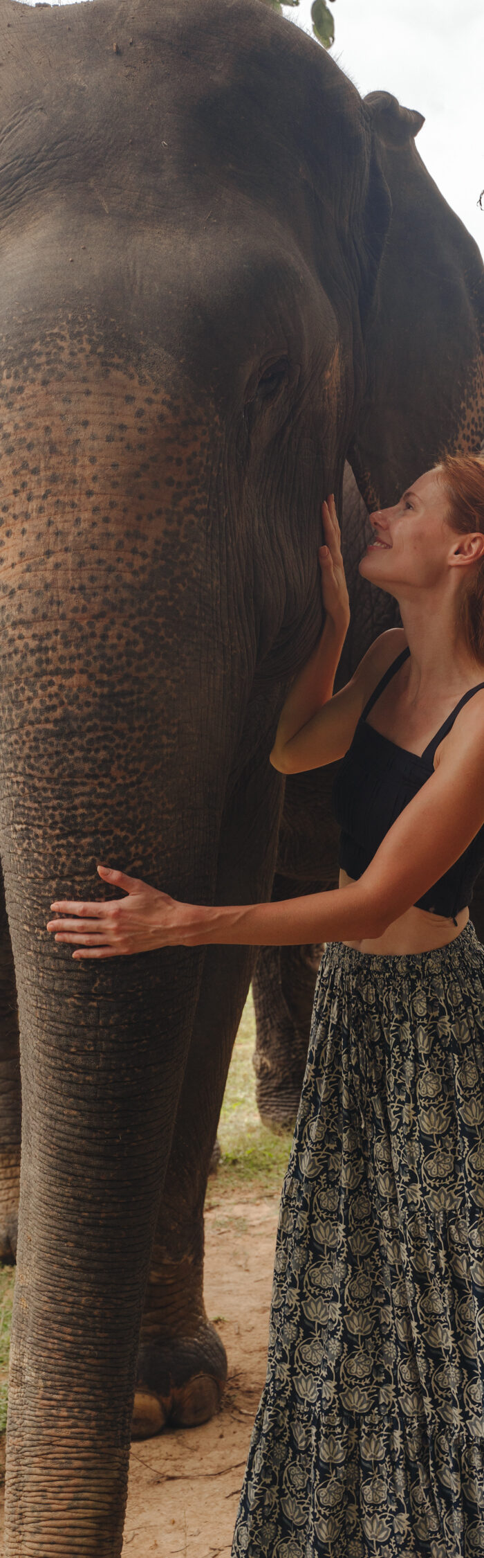 Miss USA 2011 Alyssa Campanella of The A List blog visits Kulen Elephant Forest outside of Siem Reap, Cambodia