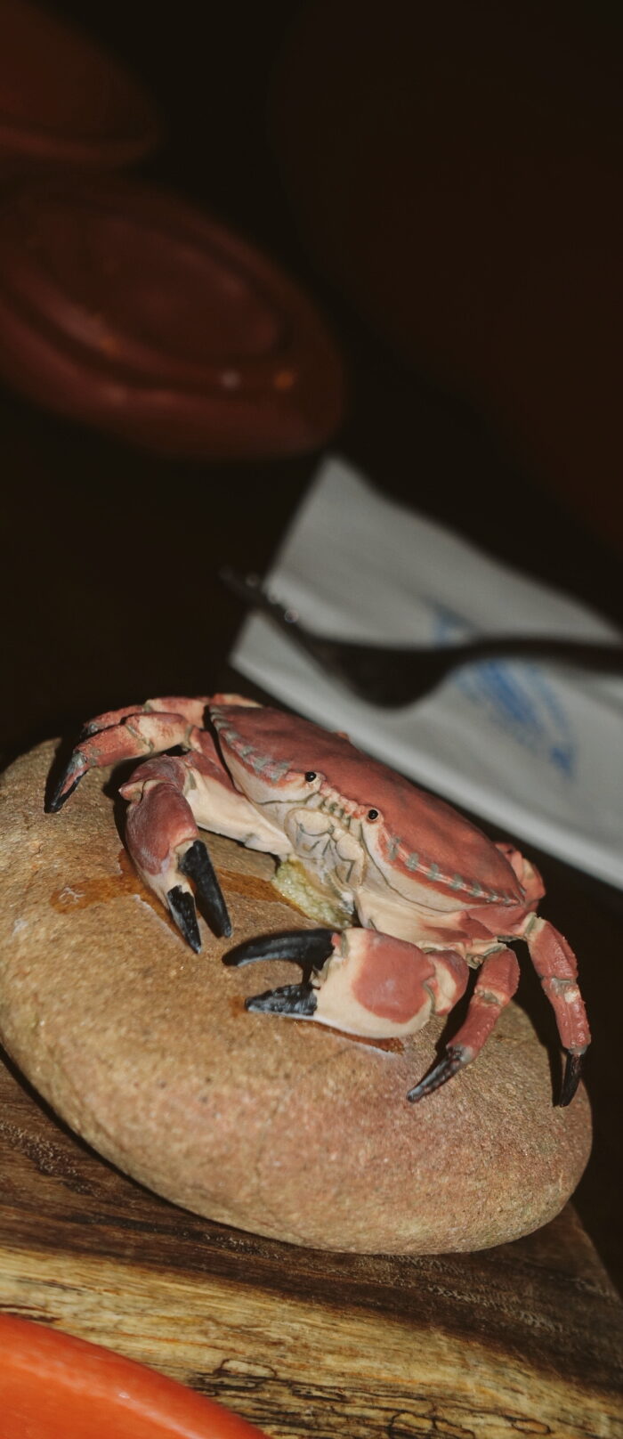 Miss USA 20111 Alyssa Campanella of the A List blog visits St. Lazarus Quarter in Macau at 3 Sardines Restaurant.