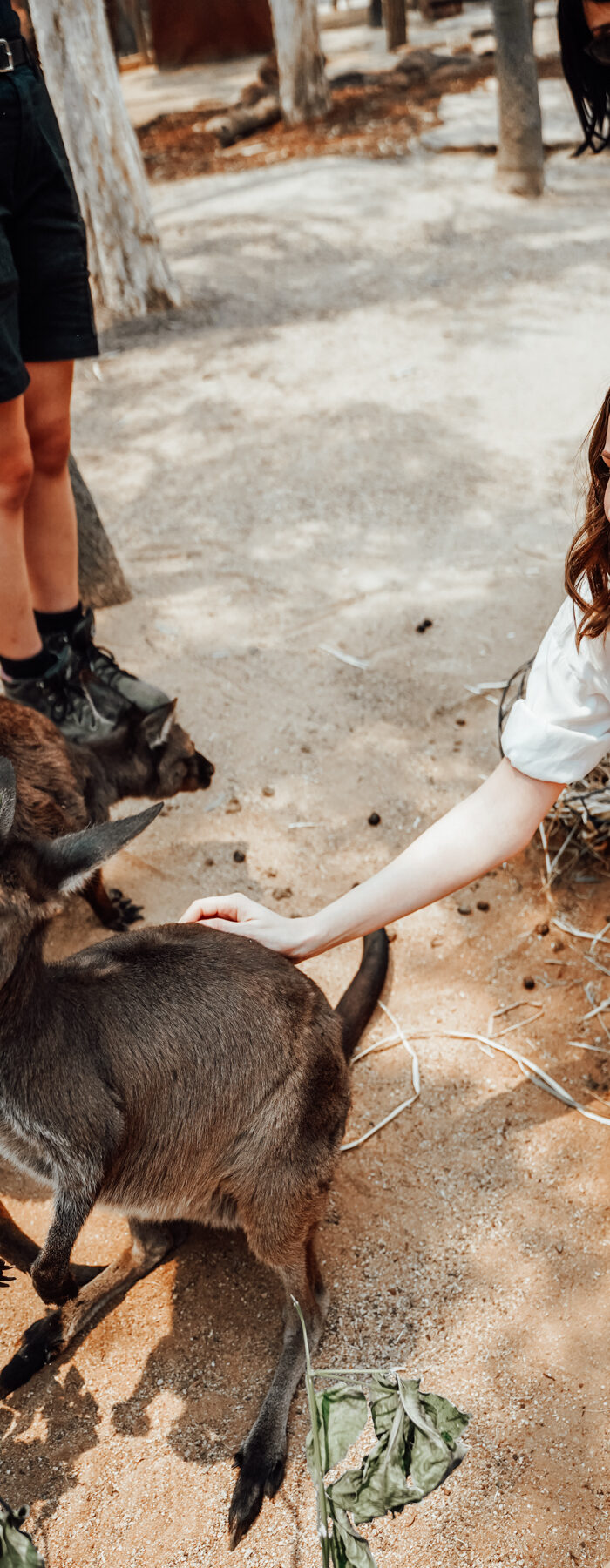 Miss USA 2011 Alyssa Campanella of The A List blog shares her travel guide to Sydney, Australia